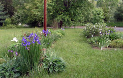 /images/02180003_250x159.jpg